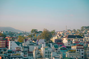江苏沛县旅游攻略：探索汉文化发源地，轻松规划完美行程