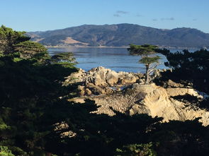 旅游景点介绍全攻略：如何写出让游客心动的景点介绍，轻松规划完美旅行